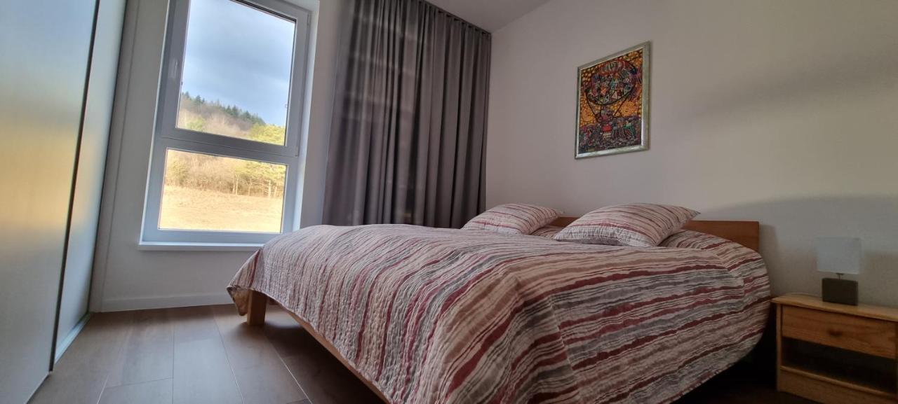 Penthouse Apartman Mineral B-4 Bardejovské Kúpele 外观 照片
